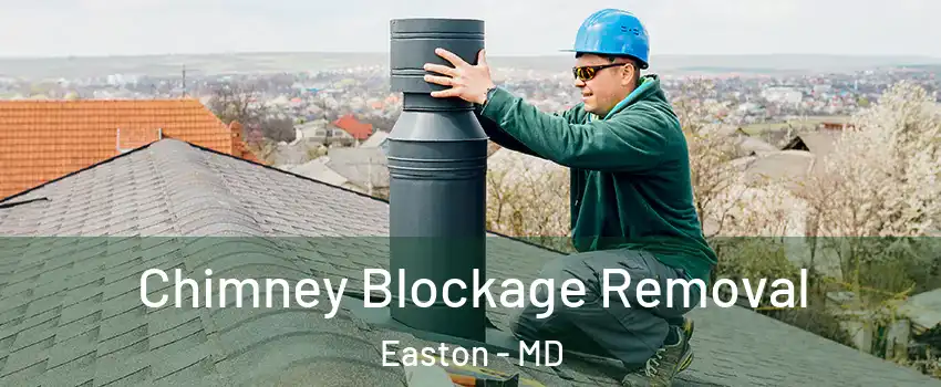  Chimney Blockage Removal Easton - MD