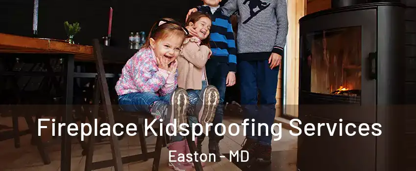  Fireplace Kidsproofing Services Easton - MD